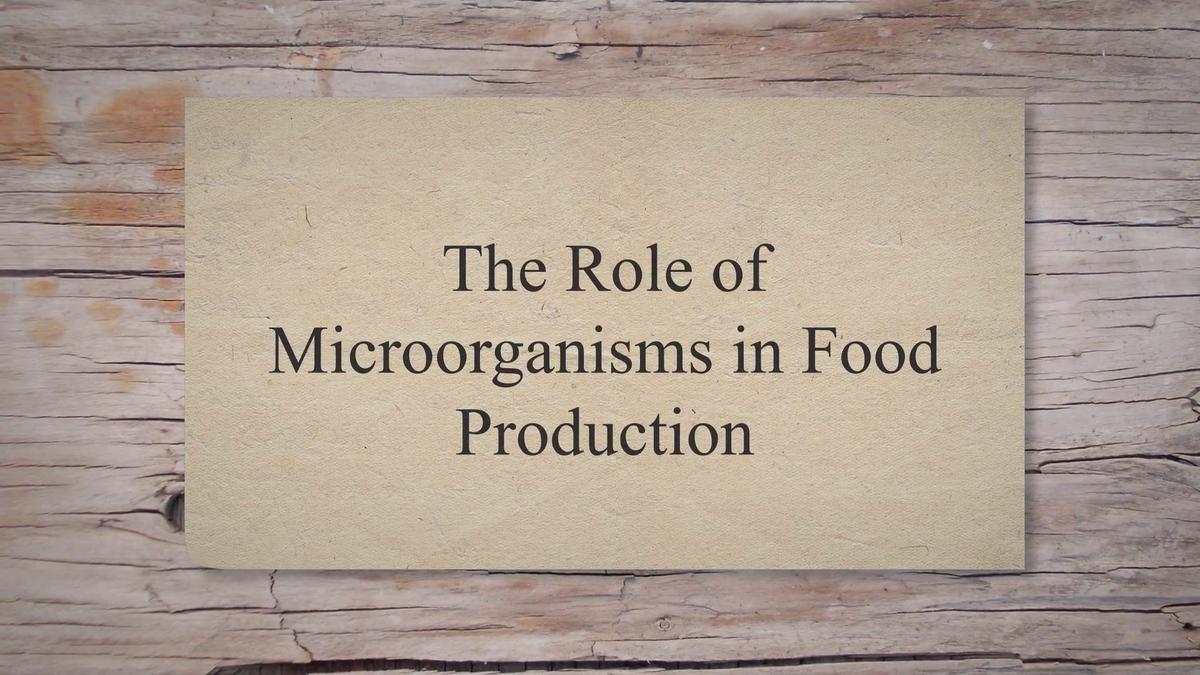 how-the-food-chain-in-a-forest-ecosystem-works-infographic-south