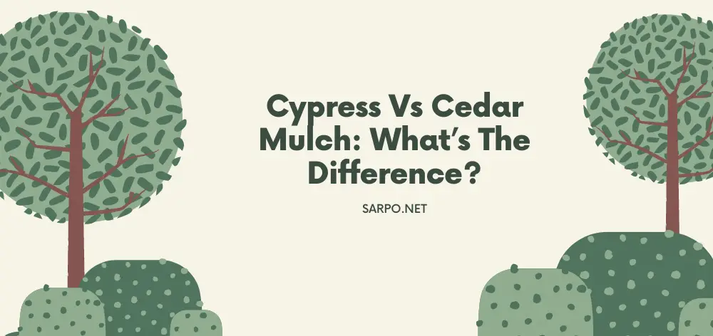 Cypress Vs Cedar Mulch