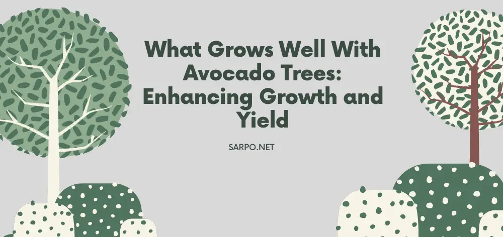 What Grows Well With Avocado Trees: Enhancing Growth and Yield