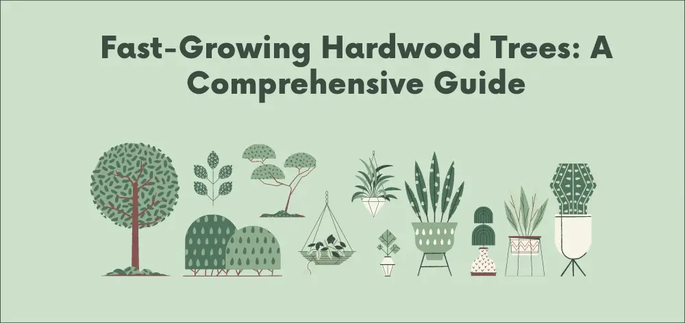 hardwood trees that grow fast