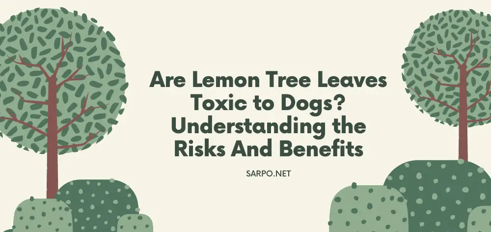 Are Lemon Tree Leaves Toxic to Dogs