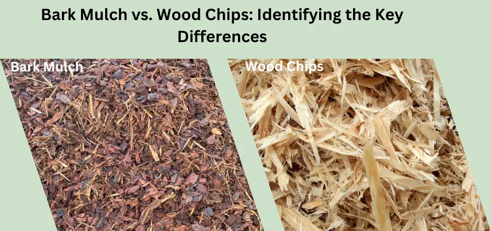 Bark Mulch vs. Wood Chips: Identifying the Key Differences