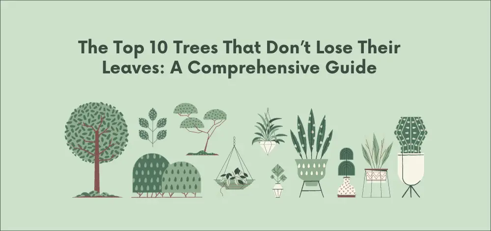 The Top 10 Trees That Don’t Lose Their Leaves: A Comprehensive Guide