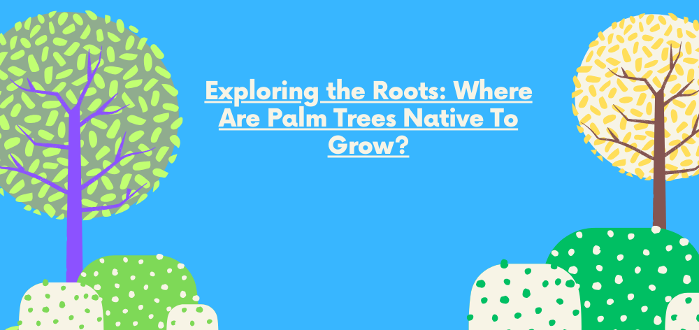 Exploring the Roots: Where Are Palm Trees Native To Grow?