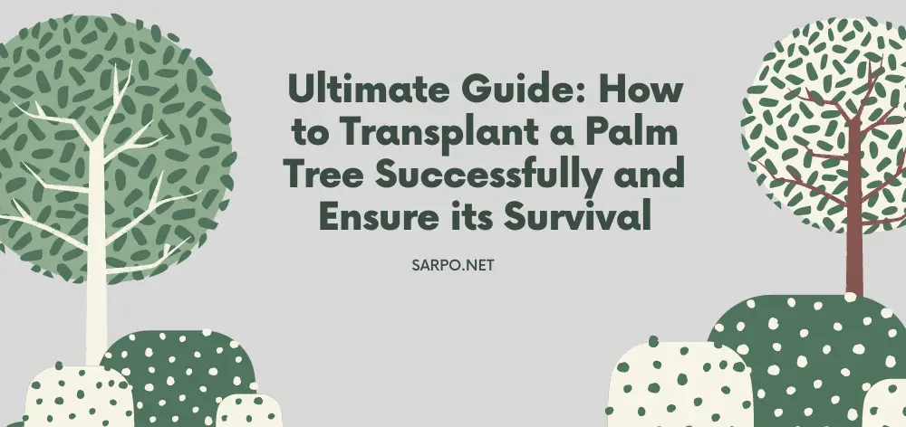 How to Transplant a Palm Tree
