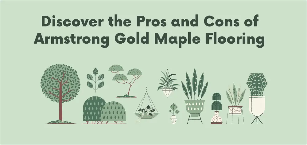 Discover The Armstrong Gold Maple Pros and Cons