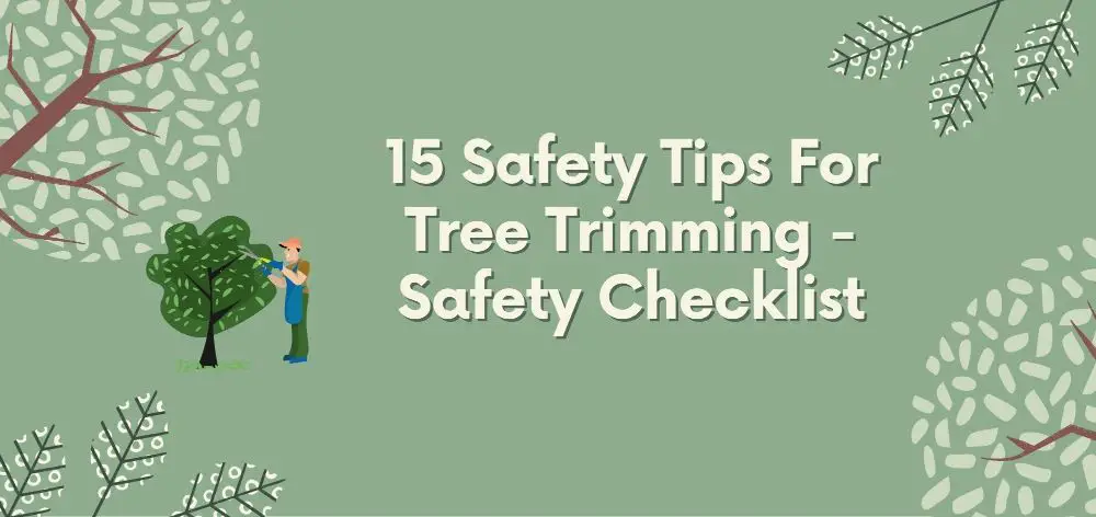 15 Safety Tips for Tree Trimming – Safety Checklist