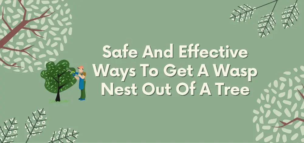 ways to get wasp nest out of a tree