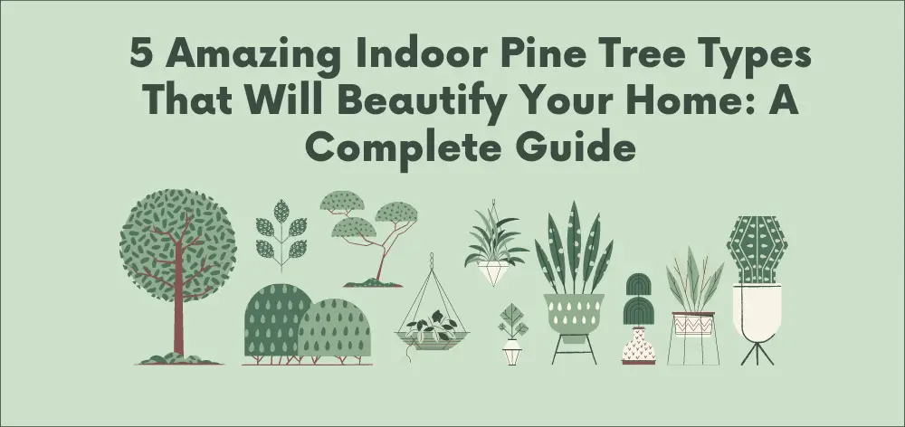 indoor pine tree types