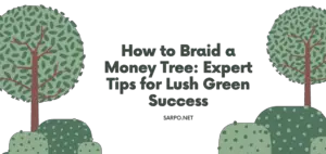 How to Braid a Money Tree