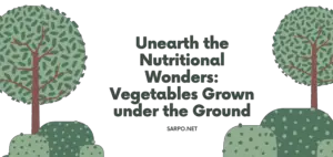 Vegetables Grown under the Ground