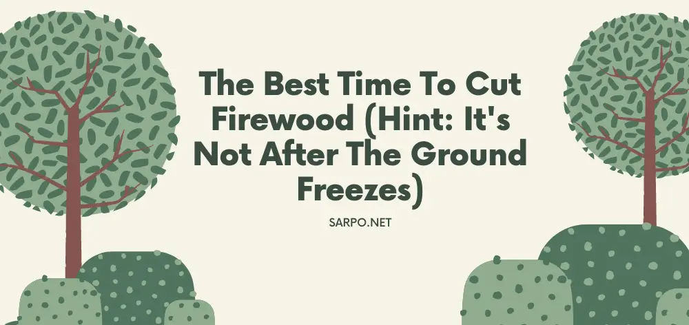 The Best Time to Cut Firewood (Hint: It’s Not After the Ground Freezes)