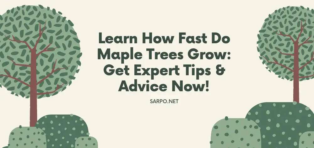 Learn How Fast Do Maple Trees Grow: Get Expert Tips & Advice Now!