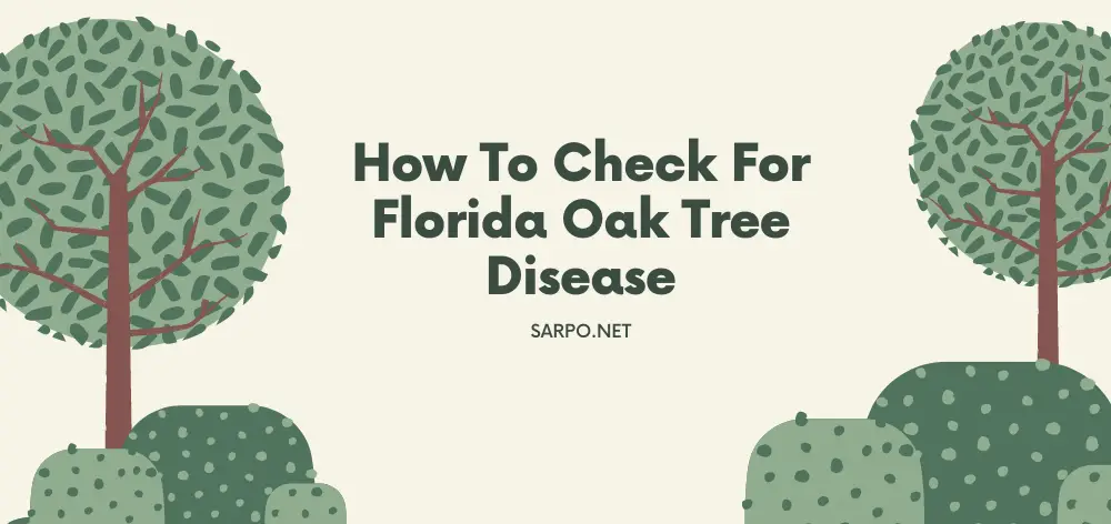 How to Check for Florida Oak Tree Disease