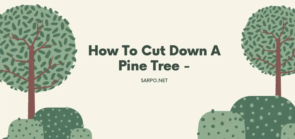 How to Cut down a Pine Tree