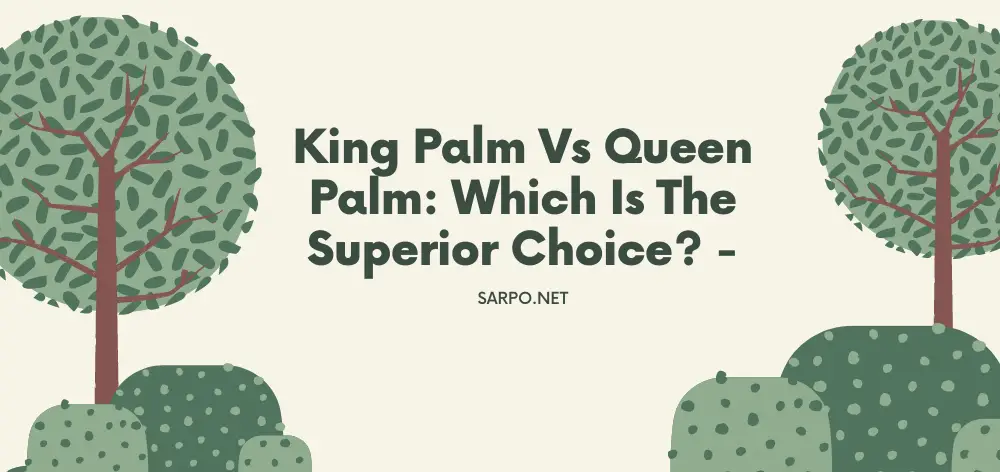 King Palm Vs Queen Palm: Which is the Superior Choice?