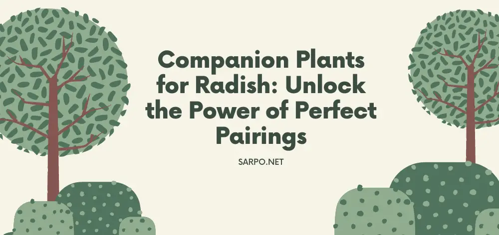 Radish Companion Plants: Unlock the Power of Perfect Pairings