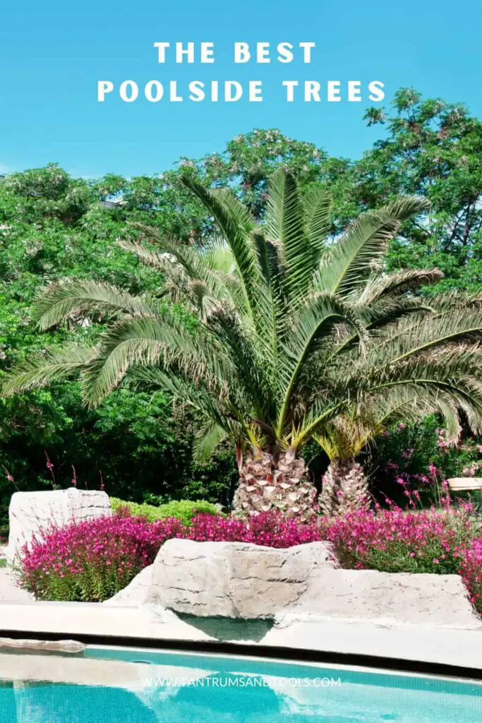 How to Grow Coconut Palm Trees: Ultimate Guide for Thriving Gardens