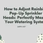 How to Adjust Rainbird Pop-Up Sprinkler Heads