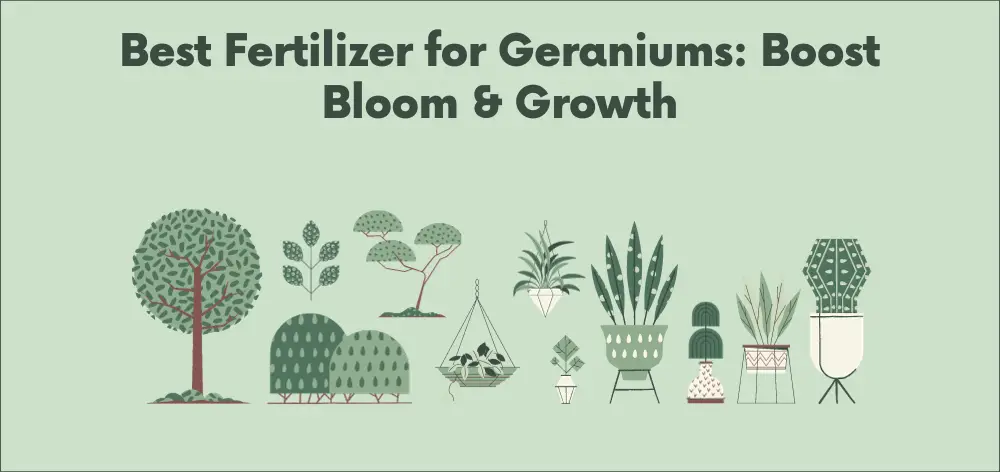Best Fertilizer for Geraniums: Boost Bloom & Growth