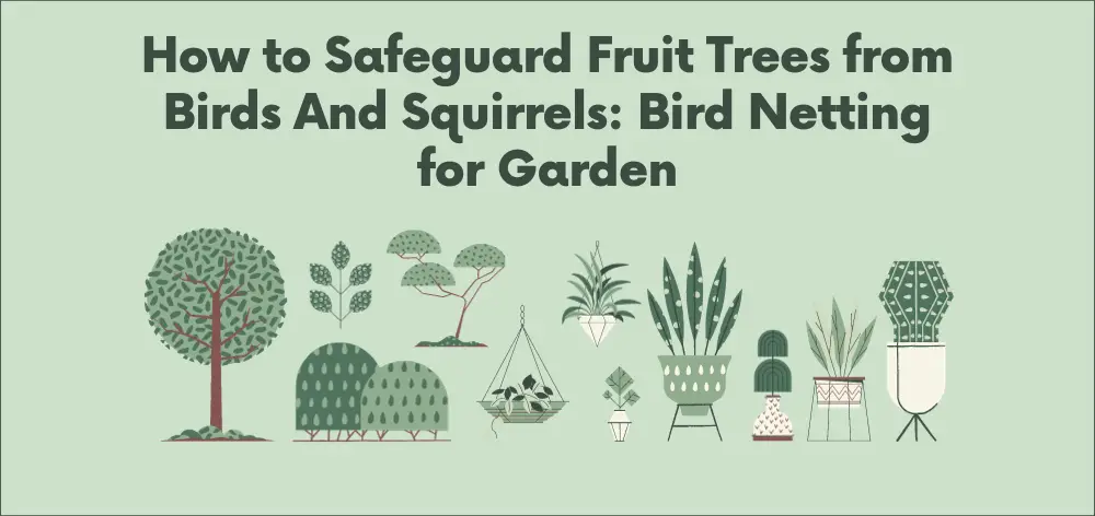How to Safeguard Fruit Trees from Birds And Squirrels: Bird Netting for Garden