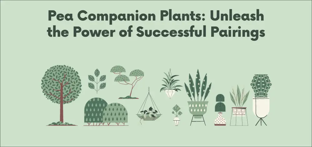Pea Companion Plants: Unleash the Power of Successful Pairings