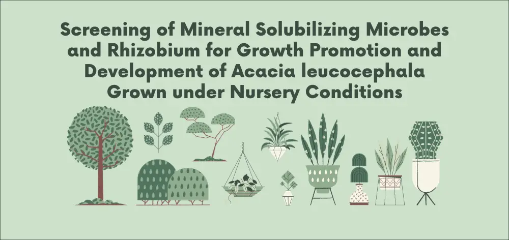 Screening of Mineral Solubilizing Microbes and Rhizobium for Growth Promotion