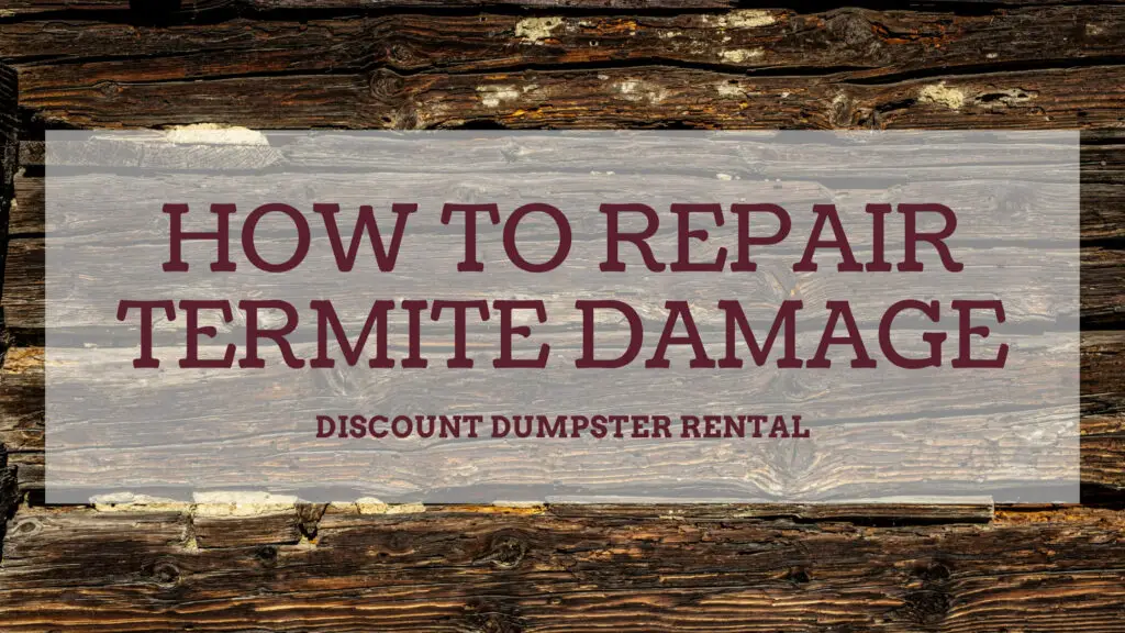 How Do You Fix Termite Damage