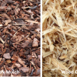 Bark Mulch vs. Wood Chips