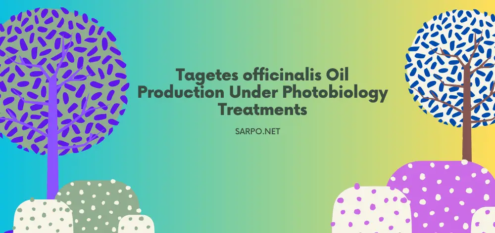 Tagetes officinalis Oil Production