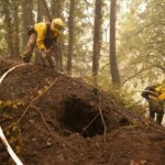 Wildfires And Drought Devastate Pacific Timberland: A $11.2 Billion Loss