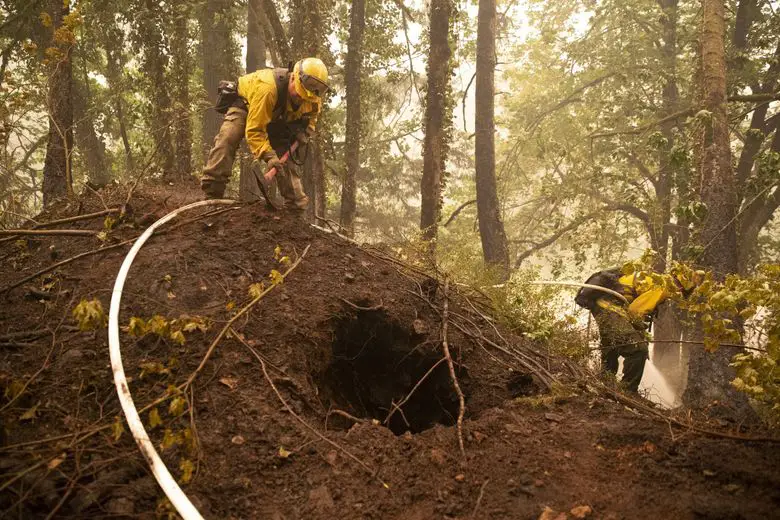 Wildfires Ravage Timberland: Pacific Loss Tops $11B
