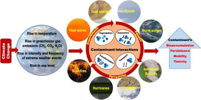 Wildfires Trigger Soil Chemistry Changes: Impacts on Ecosystems And Human Health