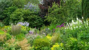 Design Your Dream Garden: 21 Free Garden Design Ideas