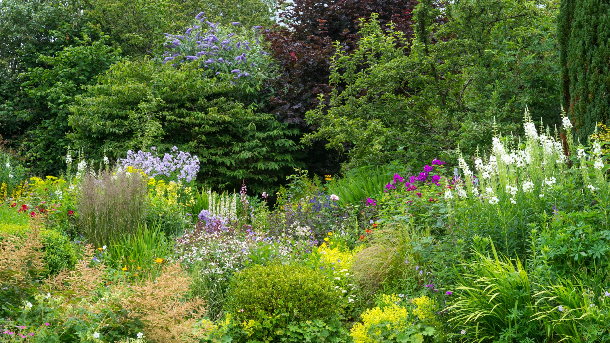 design your dream garden: 21 free garden design ideas