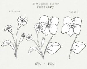 February'S Floral Favorites: Violets And Irises