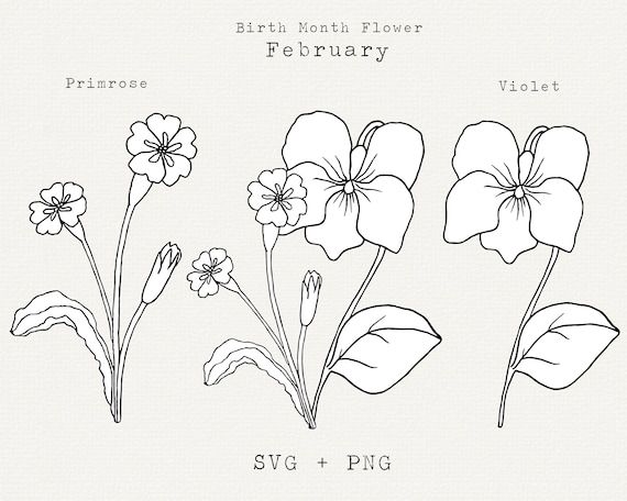 february's floral favorites: violets and irises