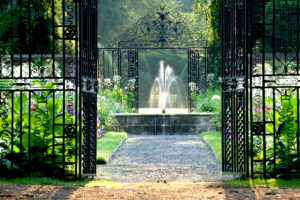 Gateway to Garden Bliss: 17 Best Garden Gates