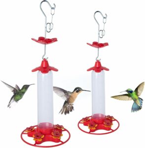 Hummingbird Haven: The 9 Best Feeders for Attracting These Feathered Friends