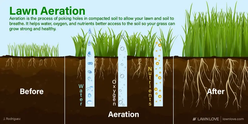 Lawn Love: The Best Lawn Aerator And How to Use It