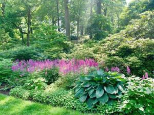 Perennial Perfection: 30 Best Perennial Plants for Year-Round Beauty