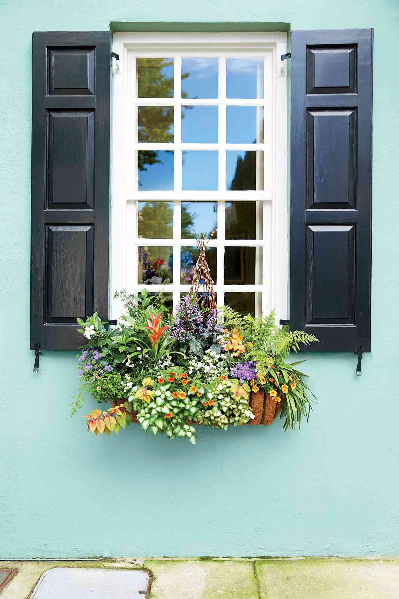 Window Box Wonders: The Weird Thing People Are Doing With Window Boxes