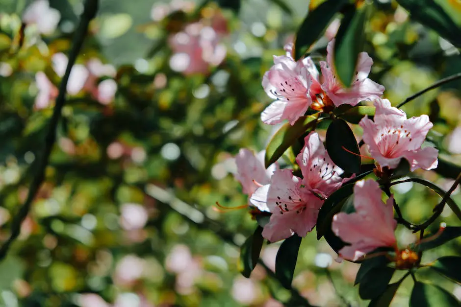 Illustration of pests and diseases affecting azalea trees